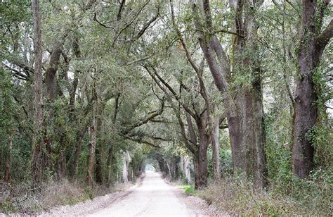 Country Road Horizontal Photograph By Rd Erickson Fine Art America