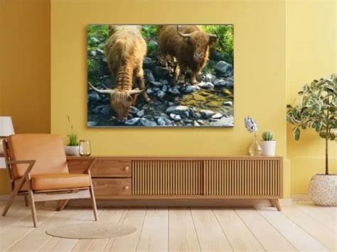 Highland Cow Canvas Print | Wall Art | Lifehop