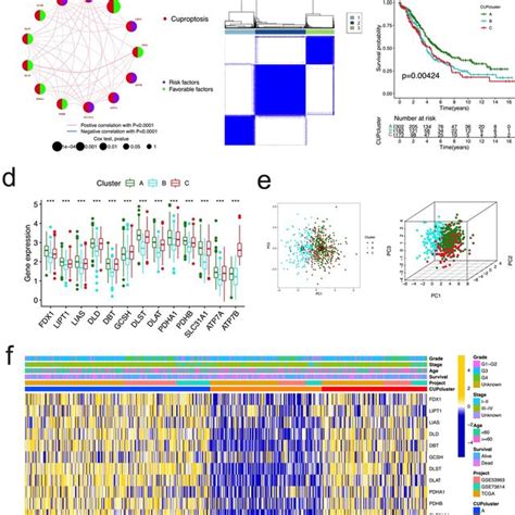 Identification Of Gene Subtypes Based On The Degs Of Download Scientific Diagram