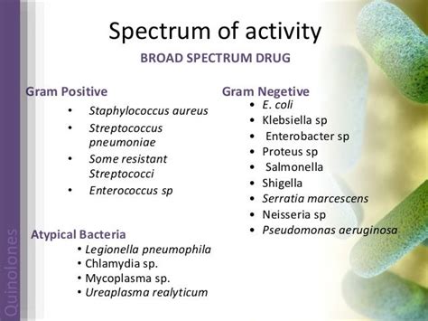 Quinolones | drug develoupment | mechanism of action | future