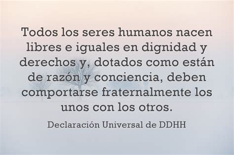 Todos Los Seres Humanos Nacen Libres E Iguales En Dignidad Quozio