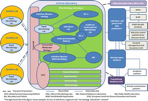 Frontiers Control Of Infectious Diseases In The Era Of European