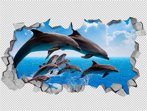 Dolphin Wall Art 3D Decals - Awesome Stuff 365