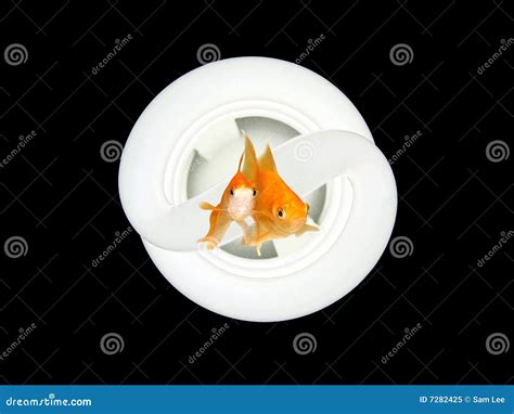 Environmental Friendly Light Bulb Stock Image - Image of orange, animal ...