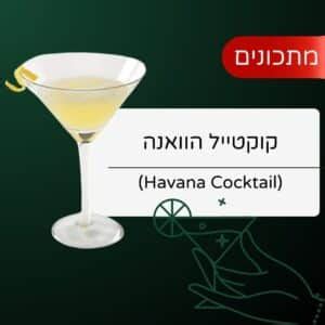 קוקטייל סקס על החוף Sex On the Beach Cocktail מתכון
