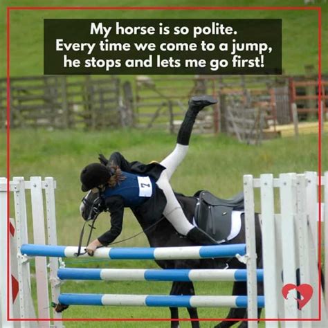 17 Of Our Favorite Equestrian Memes Equestrian Memes Funny Horse