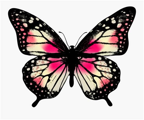 Real Life Pink Butterfly , Free Transparent Clipart - ClipartKey