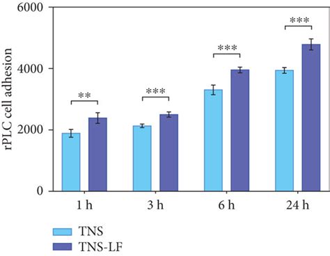 Evaluation Of In Vitro Osteogenic Induction Ability Of Rplcs A Cell