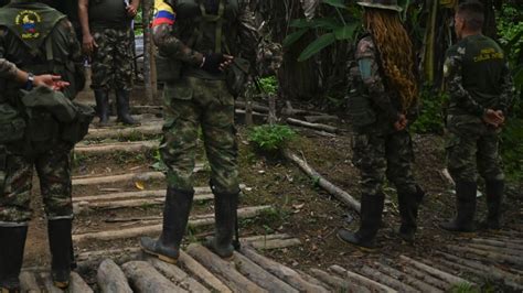 Mueren Cinco Disidentes En Enfrentamientos Con El Ej Rcito En Huila