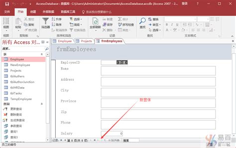 Access创建窗体 Access教程