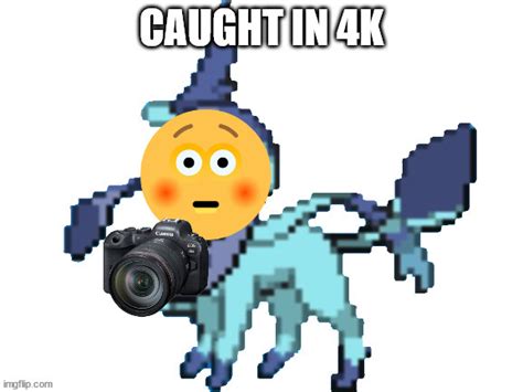 You Got Caught In 4k By A Pokemon Imgflip