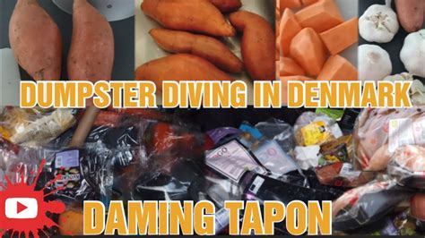 Dumpster Diving In Denmark Daming Tapon Gwinnkristensen Youtube