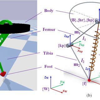 Model Of The One Legged Robot A Three Dimensional Model B