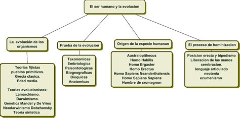 La Evolucion De Los Mappa Mentale Schema Images