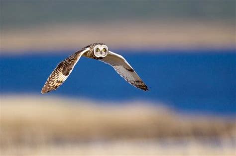 Nature Wildlife And Conservation Photography Courses And Training