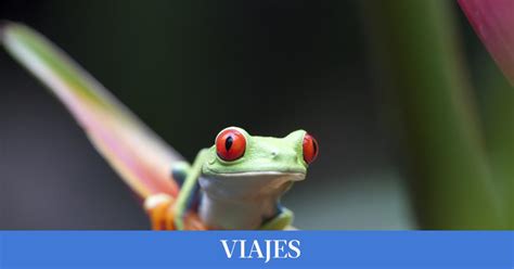 Fotos Maravillas De Costa Rica Para Descubrir En Tu Pr Ximo Viaje