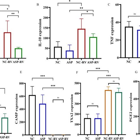 Proinflammatory Cytokine Chemokine Levels In The Oral Aspirin Rat