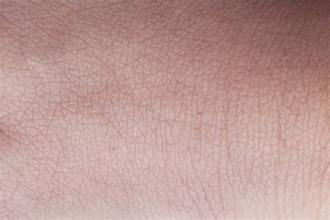 skin texture stock  images  backgrounds