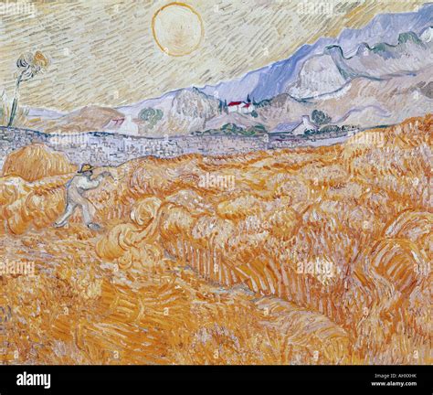 Van Gogh Harvest Hi Res Stock Photography And Images Alamy