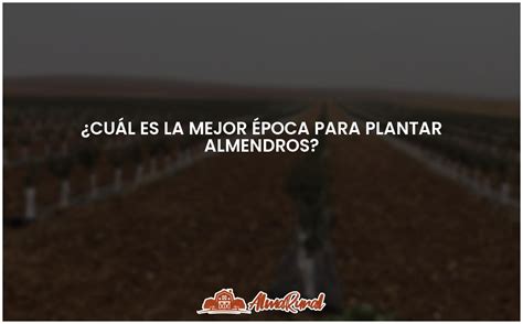 La Poca Ideal Para Plantar Almendros Almarural