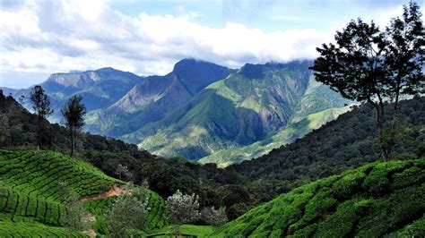 Best time to visit Munnar Condé Nast Traveller India