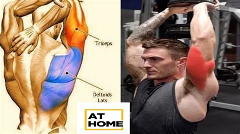 Best Triceps Exercise At Home The Perfect Tricep Workout Body Fitness Youtube