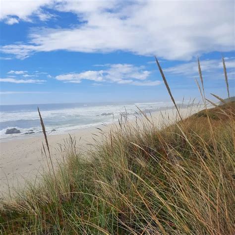 Praia De Afife Portugal Beach Guide Info Photos BeachAtlas