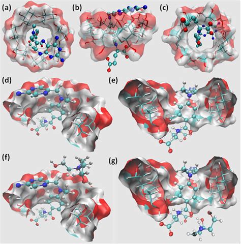 Binding Mode Predicted By Molecular Docking Assays Of Mtx To Cd In