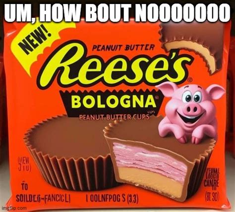 Bologna Cups Imgflip