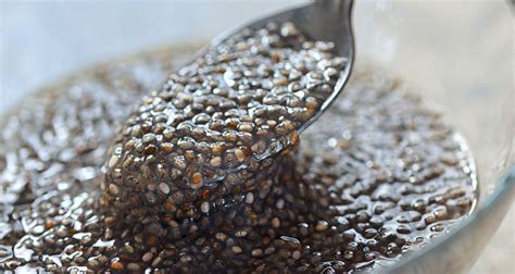 5 Manfaat Chia Seed Untuk Kesehatan Yuk Coba Sekarang