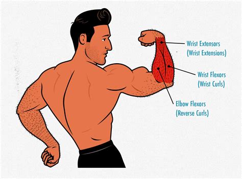 Forearm Routine Off