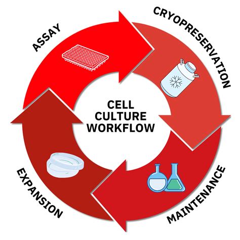 Matrioux Cell Culture