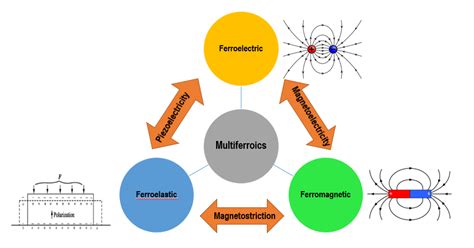 Showing Relationship Between Ferroelectric Ferro Elastic