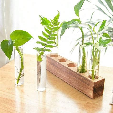 Set Desktop Plants Propagation Stations Glass Test Tubes Plant