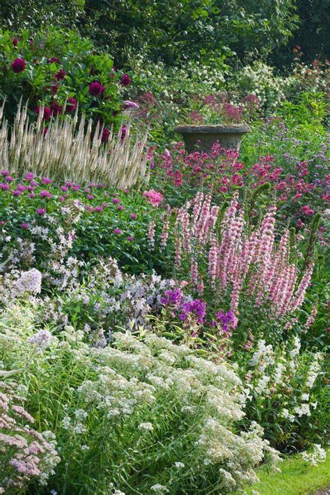 26 English Garden Border Plants Ideas To Consider Sharonsable