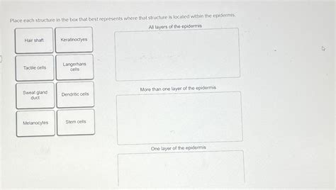 Solved Place Each Structure In The Box That Best Represents