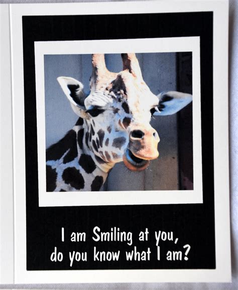 Zoo Animals Saying Hello Notecards Etsy