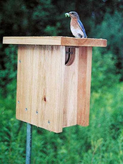 Article On The Gilwood Bluebird Nestbox