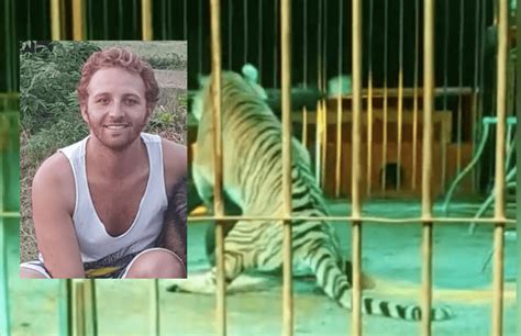 Ivan Orfei Aggredito Da Una Tigre Durante Lo Spettacolo E Stato Un