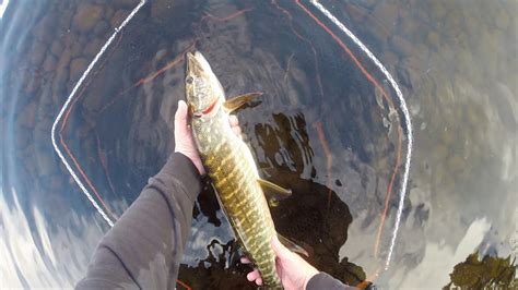 Loch Awe Trip Part 1trout Fishing To Start Off Youtube