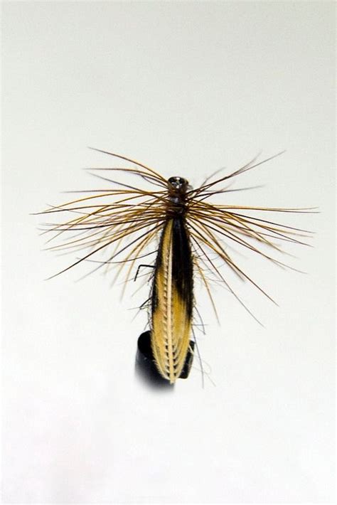 Wonder Wing Caddis Fly Fly Tying Caddis Flies Fly Fishing Tips