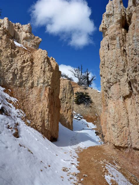 Narrow ravine: Fairyland Loop Trail, Bryce Canyon National Park, Utah