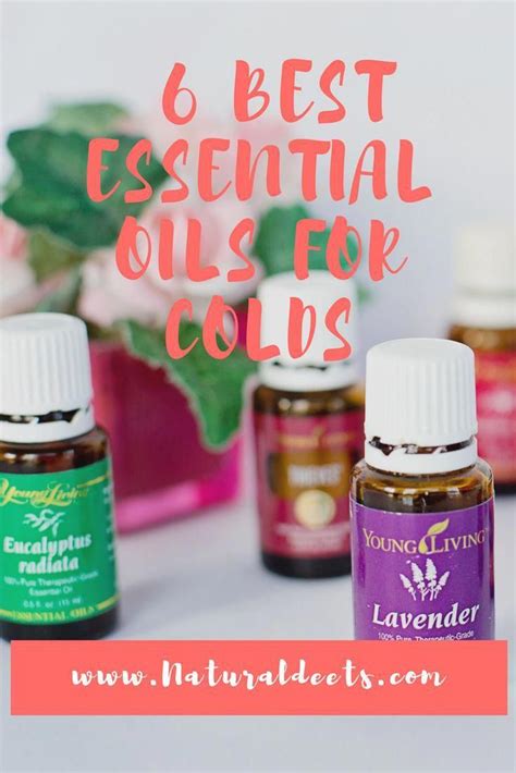 Fantastic Peppermint Essential Oil Tips And Strategies For Nikon Dsl