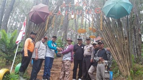 Pramuka Peduli Kwarcab Banyumas Tanam 2000 Pohon Di Hutan Kaliung