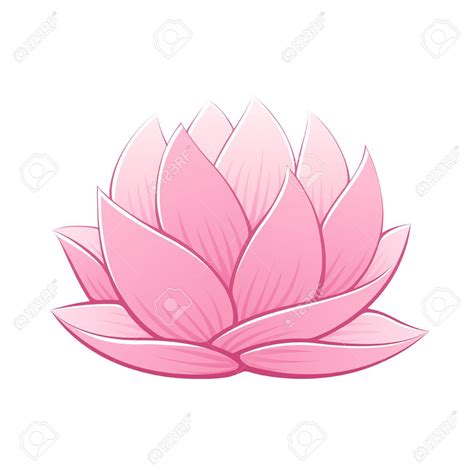 Lotus Plant Drawing At Getdrawings Free Download