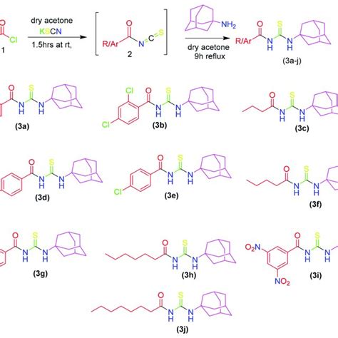 Synthetic Scheme And Molecular Structures Of Synthesized Derivatives