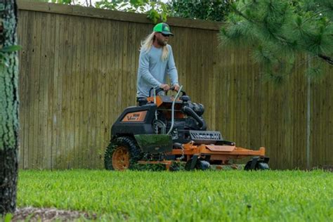 Crabgrass Prevention 101 Tips For Keeping Your Lawn Crabgrass Free