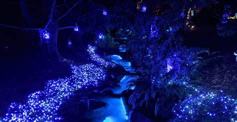 VanDusen's Festival of Lights returns to Vancouver after hiatus | Listed