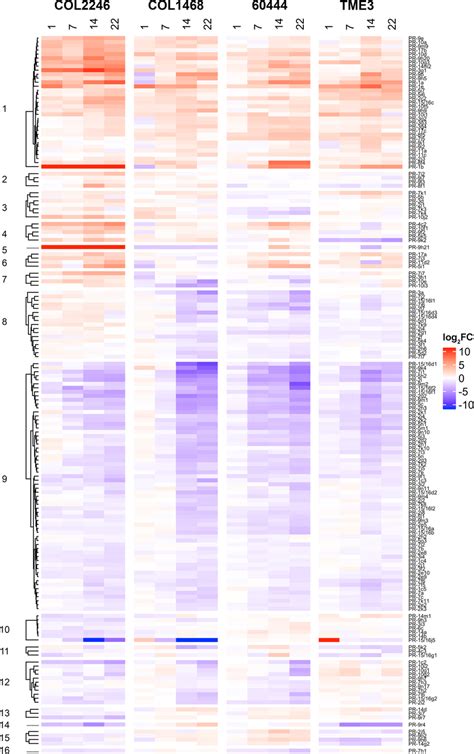 Pr Gene Expression In Whitefly Susceptible Cassava Genotypes During