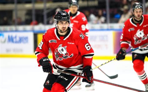 Icedogs Drop Sixth Straight Bp Sports Niagara